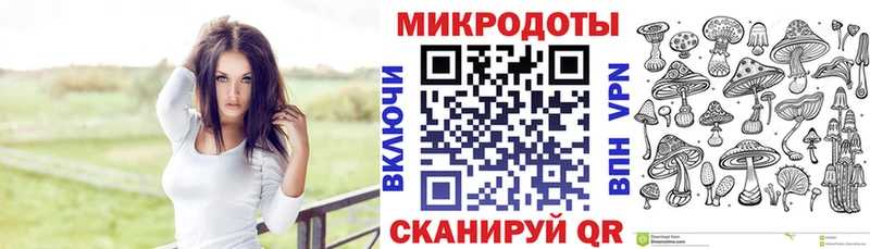 МЕГА   Саранск  Галлюциногенные грибы мицелий 